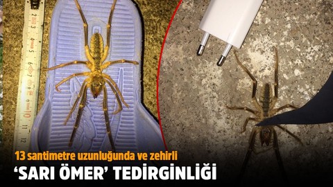 Kırıkkale’de 'Sarı Ömer' tedirginliği