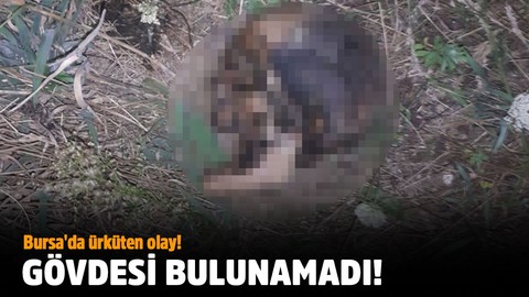 Bursa'da ürküten olay!.. Gövdesi bulunamadı!