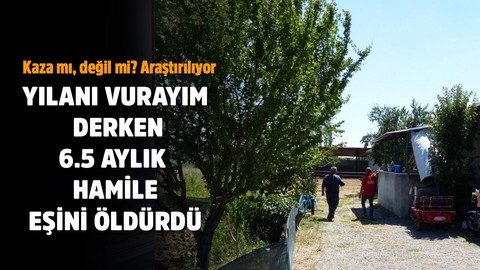 Yılanı vurayım derken hamile eşini öldürdü