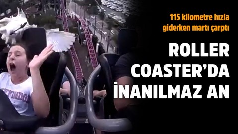 115 km hızla giderken kuşla çarpıştı