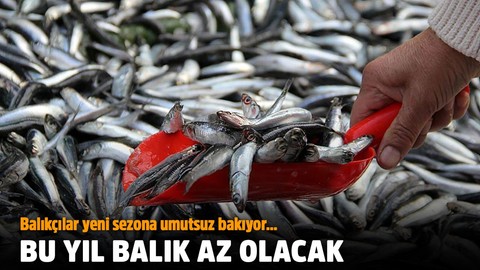 1 Eylül yaklaşırken: "Bu yıl balık az olacak"