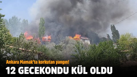 12 gecekondu kül oldu!