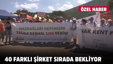 Kaz dağlarında 40 farklı şirket sırada bekliyor