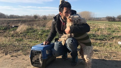 Avrupa hayali için kedi ve köpeğinden vazgeçti