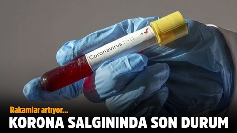 Rakamlar artıyor.... Korona virüste son durum