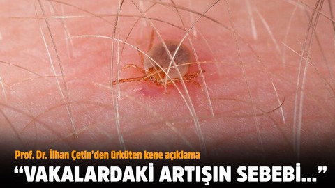 Prof.Dr. Çetin: Kene vakalarının artışını koronavirüs etkiledi