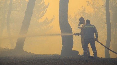 Pakdemirli'den flaş Hatay açıklaması