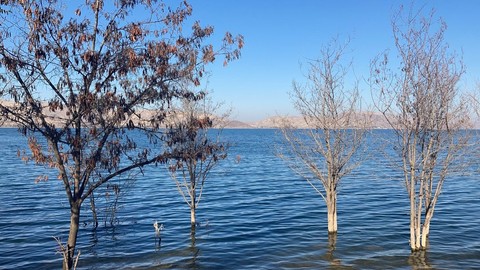 Deprem uzmanından korkutan tespit!.. O bölgede ki kayaların çatlaklarında ve gözeneklerinde kritik artış! - Resim: 1