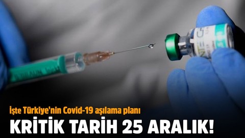 Türkiye'nin aşılama programı belli oldu!
