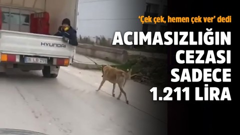 Köpeği kamyonetle sürükledi, sadece bin 211 lira ceza kesildi