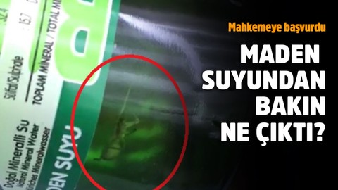 Maden suyundan örümcek çıktı, mahkemeye başvurdu