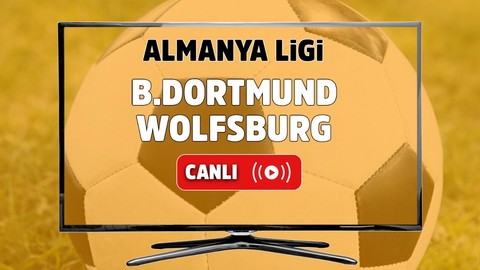 Borussia Dortmund – Wolfsburg Canlı izle