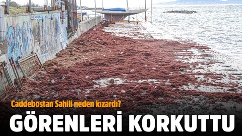 Caddebostan sahili neden kızardı?