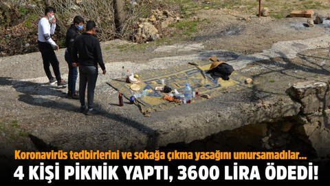 Yasakta piknik yaptılar, 4 kişi 3 bin 600 lira ceza ödediler