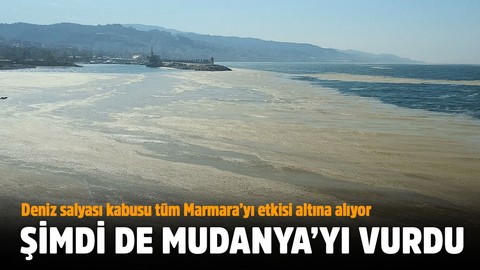 Deniz salyası kabusu büyüyor: Mudanya'yı da vurdu