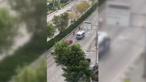 Atlar şehrin göbeğinde başıboş koşturdu! Trafik alt üst oldu