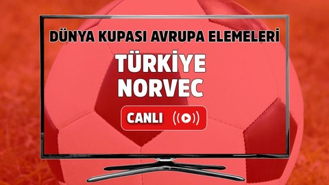 Türkiye - Norveç Canlı maç izle