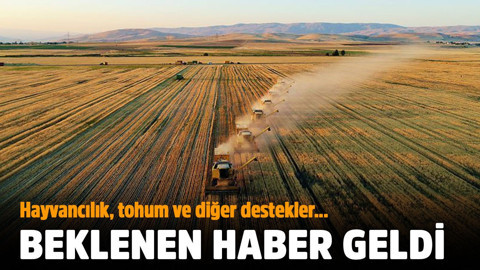 Tarımsal üretim destek miktarları belli oldu