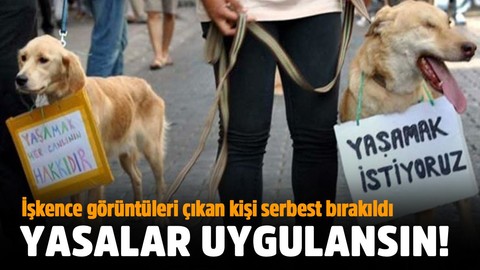 Köpeğe işkence eden şüpheli savcılık tarafından serbest bırakıldı