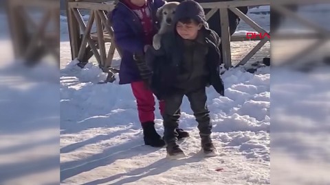 Küçük çocuk, yavru köpeği sırtına alıp, götürmeye çalıştı