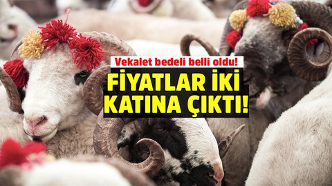 Vekaletle kurban kesim bedeli açıklandı! Resmen 2 katına çıktı! 2022 Vekalet yoluyla kurban kesim ücreti ne kadar?