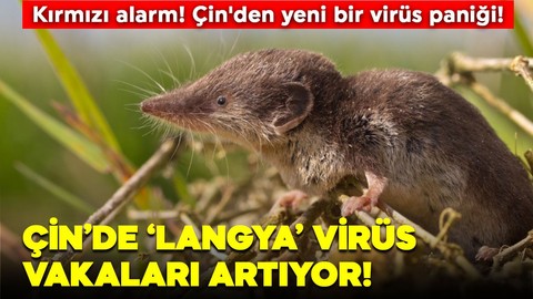 Çinli Uzmanlar uyardı! Çin'de görülen yeni virüsün adı 'Langya' ! Vaka sayıları artıyor! Belirtiler neler? Yeni bir pandemi mi geliyor?