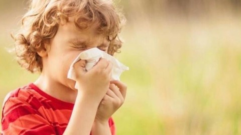 Sonbahar alerjisiyle başa çıkmanın yolları! Bunları mutlaka deneyin