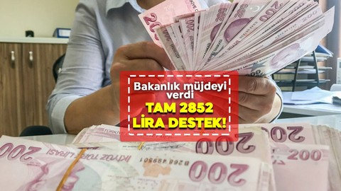 Bakanlık nakit yardım yapacak! 2852 liralık destekten hemen faydalanın!