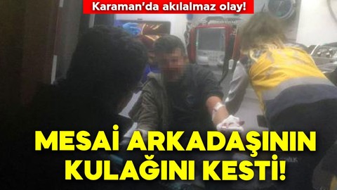 Mesai arkadaşının kulağını kesti!