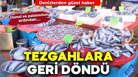 Denizlerden sevindiren haber! Tezgahlara döndü