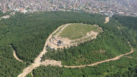İstanbul Samandıra Ormanı'nda önemli keşif