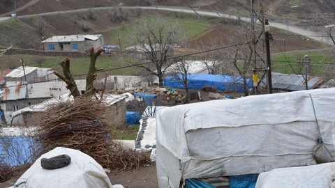 Baharın müjdecileri bölgeye akın etti... Geldiklerini gören yöre halkı, o vaktin geldiğini anlayınca hazırlığa başladı