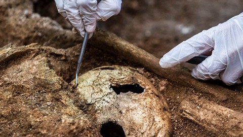 Dünyanın en eski mezarı arkeologlar tarafından kazıldı... Ortaya çıkan gerçek bir arkeoloğun şaşkınlıktan delirmesine neden oldu