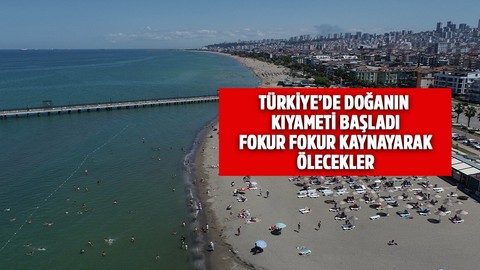 Türkiye'de doğanın kıyamet başladı... Duymak bile herkese zor gelecek ama bu bir gerçek... Fokur fokur kaynayarak ölecekler