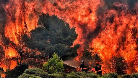 Orman yangınlarıyla ilgili korkutan açıklama: "Anormal derecede artacak"