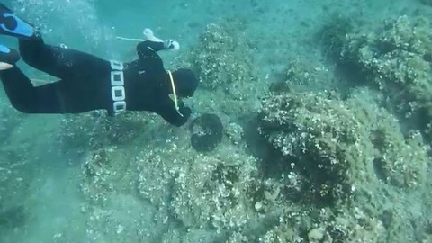 Muğla'da 'dünyanın en zor mesleklerinden' birini yapıyor, topladıklarının kilosunu dünyaya 120 euro'ya satıyor - Resim: 1
