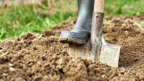 Ormanın orta yerinden dedektör 'dıt dıt dıt' diye ötüp ses çıkarıyordu... Sesin çıktığı yeri saatlerce çapaladılar, sonra kazdılar çıkan şey havaya uçurttu