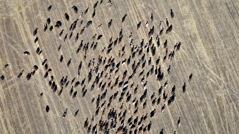 Diyarbakır’da Afrika’yı aratmayan görüntü... Adıyaman, Batman, Bingöl, Elazığ, Mardin, Muş, Malatya ve Şanlıurfa'da durum aynı