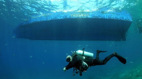 Bu defa fotokapana değil su altı kamerasına yansıdı. Bodrum’da yüzlerce tür deniz canlısının yaşadığı alana daldılar