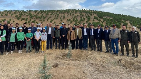 Manisa'da 500 tanesi dikildi. Görüntüsü muhteşem olacak