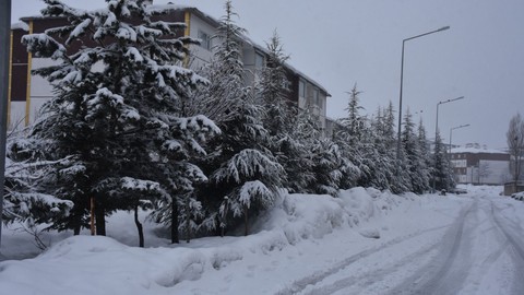 Bitlis iki gün boyunca aralıksız devam etti. 34 köy yolu ulaşıma kapandı