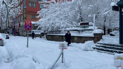 Tatvan'da gerçekleşen şiddetli kar yağışı yaşamı olumsuz etkiledi