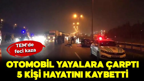 TEM'de feci kaza: Otomobil yayalara çarptı! 5 kişi hayatını kaybetti