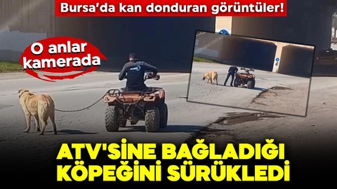 Bursa’da kan donduran görüntüler! ATV'sine bağladığı köpeğini sürükledi: O anlar kamerada