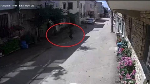 Bursa'da sokak köpekleri 3 çocuğa saldırdı