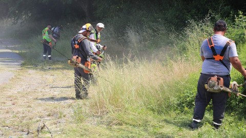 Sakarya'da yaz aylarının gelmesiyle birlikte çalışmalar başladı. Ekipler, çalışmalarını aralıksız sürdürecek