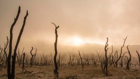 Dünya Meteoroloji Örgütü'nden korkutan açıklama: Yeni bir rekor bekleniyor