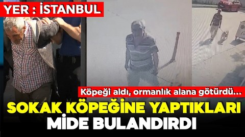 Sokak köpeğini defalarca istismar etti! Adliyeye sevk edilen şüphelinin suç dosyası kabarık çıktı!