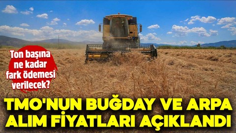 TMO'nun buğday ve arpa alım fiyatları açıklandı: Ton başına ne kadar fark ödemesi verilecek?
