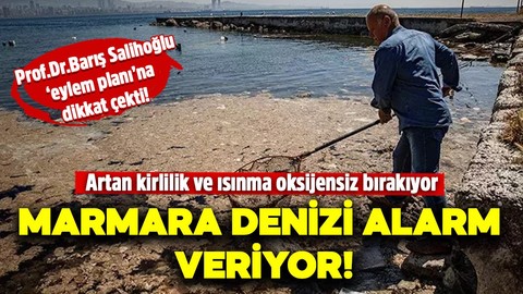 Marmara Denizi alarm veriyor! "Artan kirlilik ve denizdeki ısınma oksijensizliği artırıyor"
